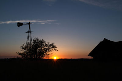 Silhouette of trees at sunset