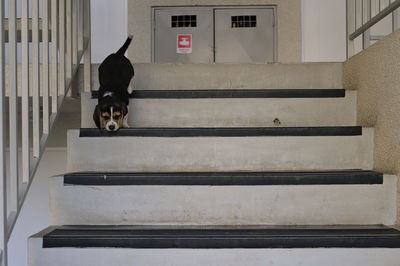 staircase