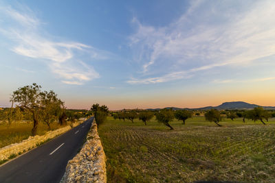 Road amidst landscape against sky