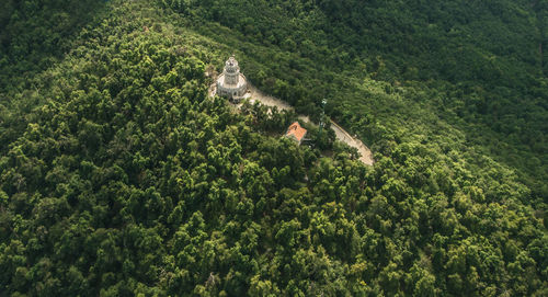 High angle view of building amidst trees on hill in forest