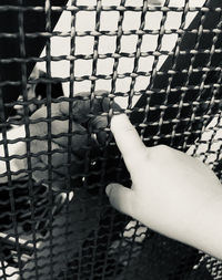 Close-up of hand holding metal in cage