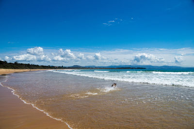 Scenic view of beach against blue sky