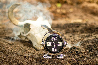 Close-up of clock on the ground