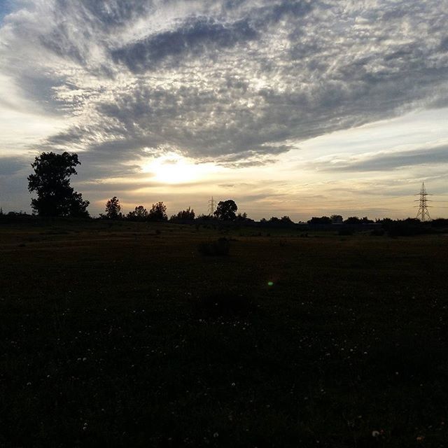 sky, sunset, landscape, tranquil scene, tranquility, cloud - sky, field, scenics, silhouette, beauty in nature, nature, cloud, cloudy, rural scene, tree, idyllic, sun, sunlight, outdoors, no people