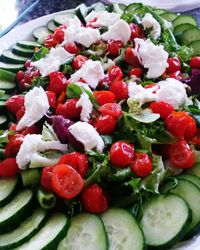 Close-up of salad