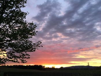 Silhouette trees on field against sky at sunset