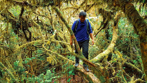 Man standing in forest