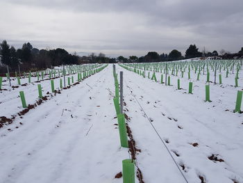 Scenic view of snow covered field against sky