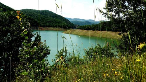 Scenic view of lake and mountains against sky