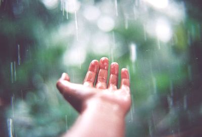 Cropped image of hand on glass window