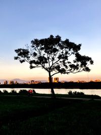 Silhouette tree on field against sky during sunset