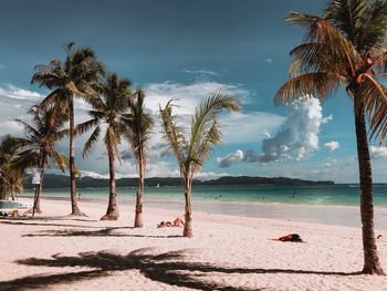 Palm trees on beach against sky