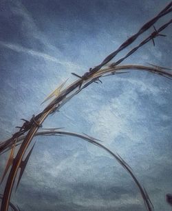 Low angle view of tree against sky