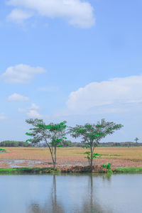 Scenic view of lake against sky