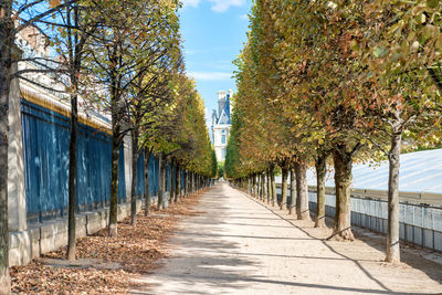 Empty footpath amidst trees and buildings against sky