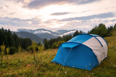 Tent in forest meadow at summer.