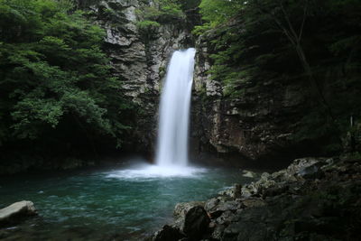 Scenic view of waterfall in forest