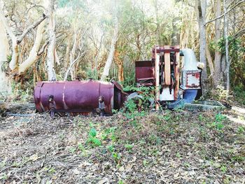 Abandoned vehicle on tree