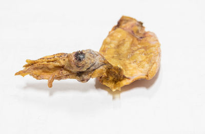 Close-up of meat on white background