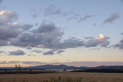 Scenic view of field against sky during sunset