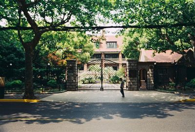 Street by trees and buildings in city