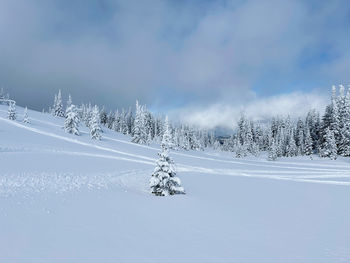 snow