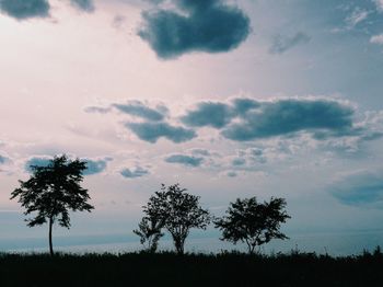 Low angle view of silhouette trees against sky