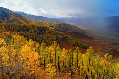 Scenic view of landscape against sky during autumn