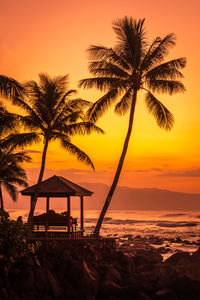 Silhouette palm tree by sea against sky during sunset