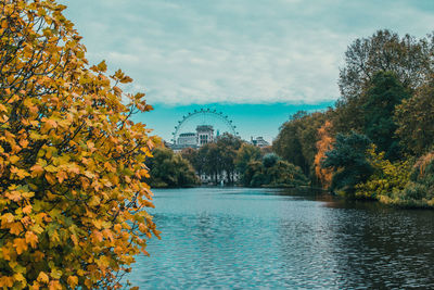 View of trees by lake during autumn