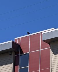 Low angle view of bird perching on building against blue sky