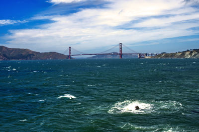 Poster view of the golden gate bridge from lands end 