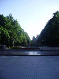 Trees against clear sky