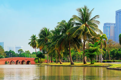 Chatuchak, central park, bangkok, thailand