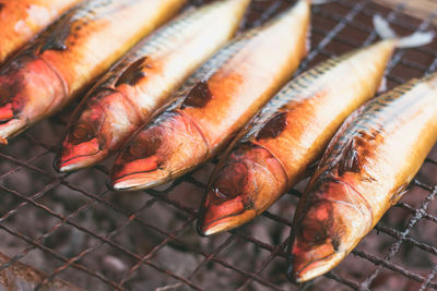 High angle view of fish on barbecue grill