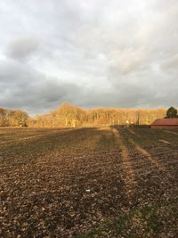 Scenic view of field against sky