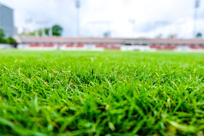 Close-up of soccer field