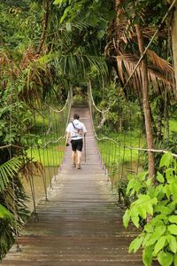 Rear view of man walking on footbridge