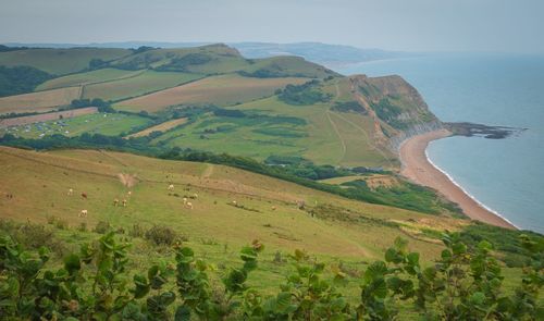 Scenic view of landscape and sea against sky