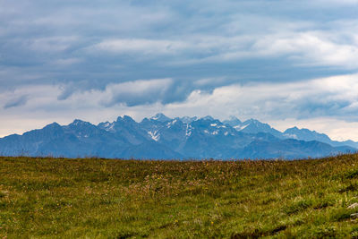 Scenic view of field against sky