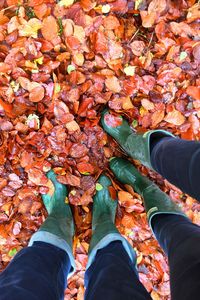 Low section of people wearing rubber boots standing on wet autumn leaves