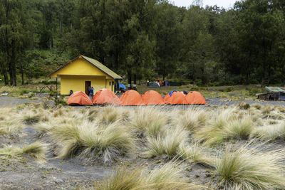 Tent by trees against sky