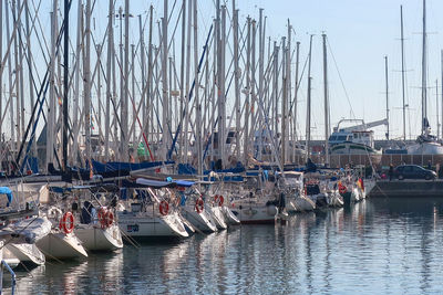 Sailboats moored in harbor