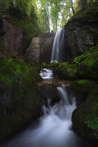 Scenic view of waterfall in forest