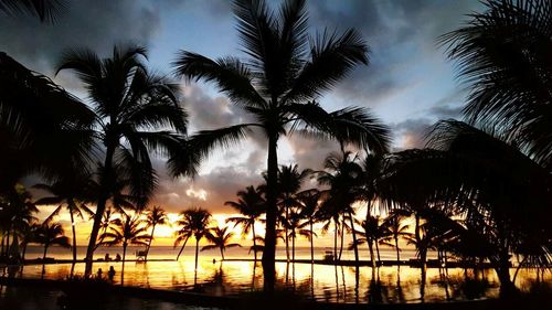 Silhouette of palm trees at sunset