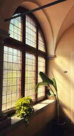 window