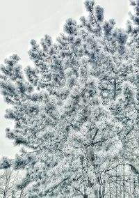 Full frame shot of abstract pattern against sky