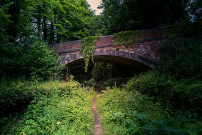Arch bridge over canal in forest