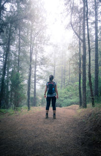 Back view of female tourist with backpack standing on path in woods and exploring nature