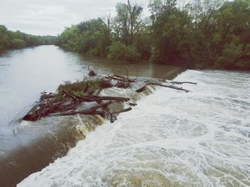 Scenic view of river with trees in background